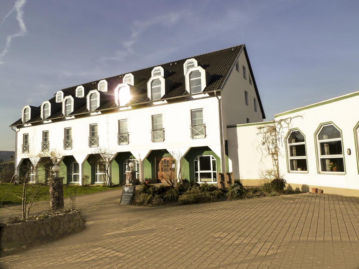 Hotel Zur Werra Schmalkalden Exteriér fotografie